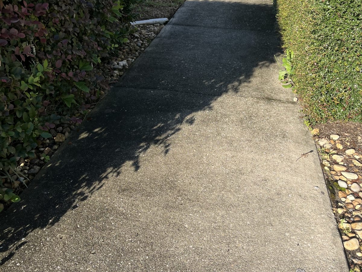 Walkway Cleaning — before cleaning