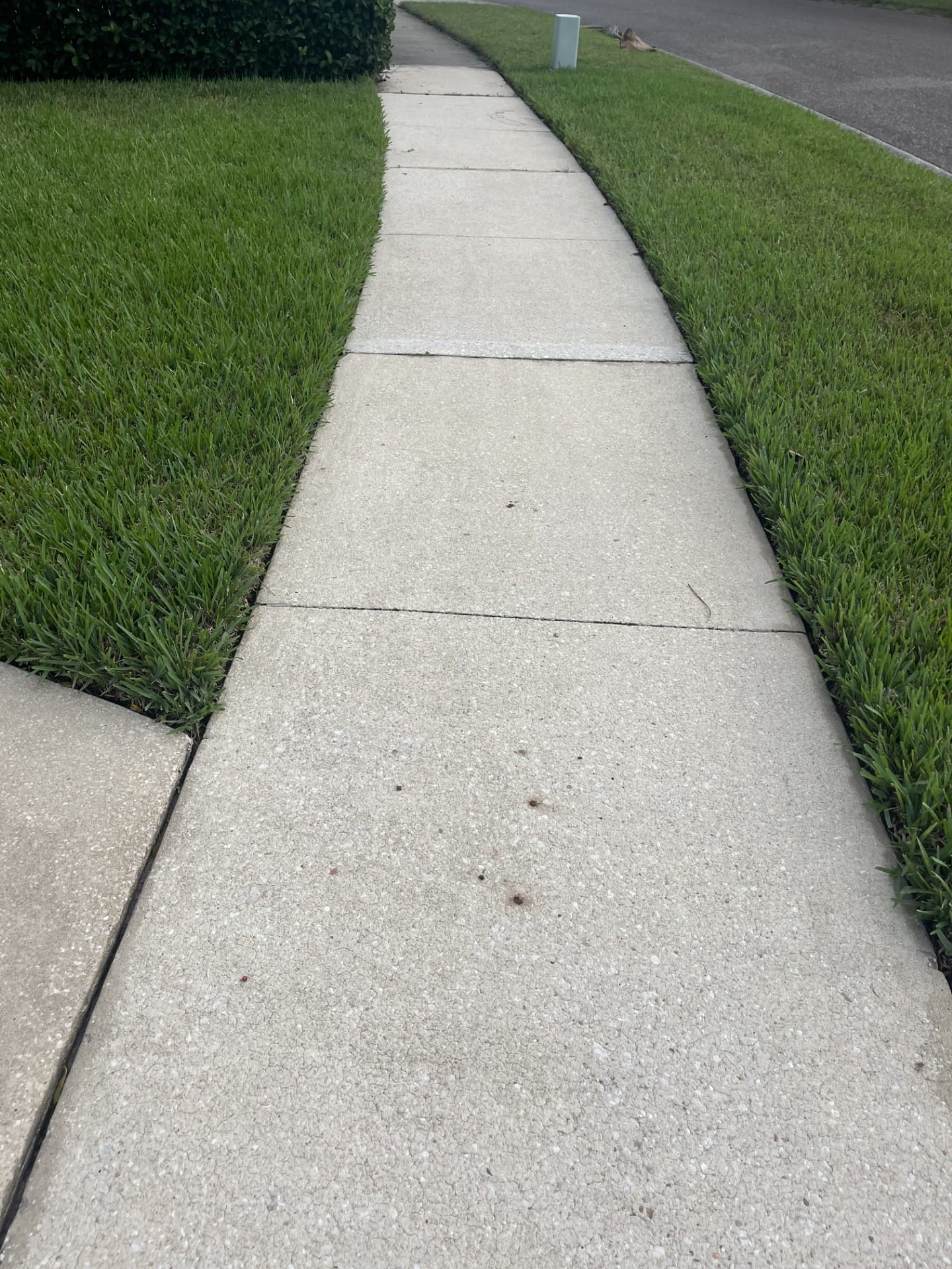 Sidewalk cleaning
